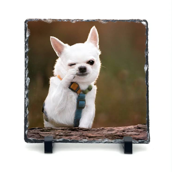 Portarretrato de Pizarra Cuadrado